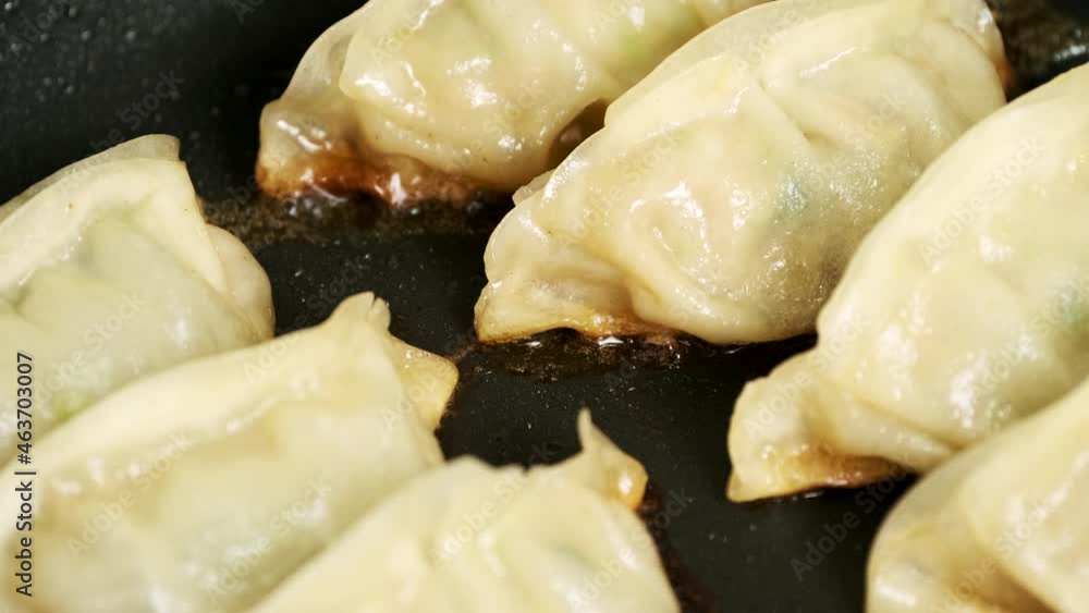 Japanese Dumpling Fried on A Plate, Gyoza or Jiaozi, Cooking or Food Background Japanese Dumpling Fried on A Plate, Gyoza or Jiaozi, Cooking or Food Background