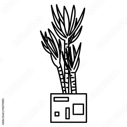 Succulent for the room, office, greenhouse. Creating a microclimate. Vector icon, outline, isolated, 48x48 pixel.