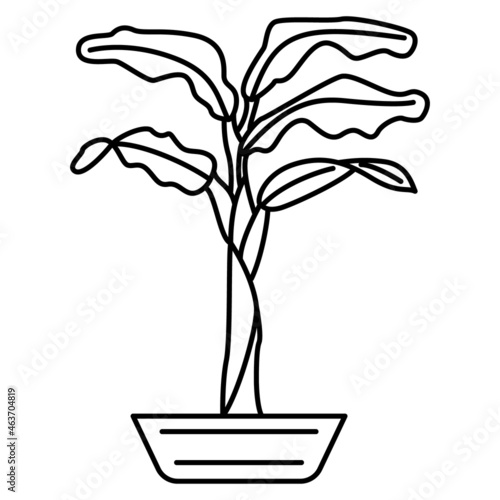 Tropical houseplant for greenhouse, room, office. Creating a microclimate. Vector icon, outline, isolated, 48x48 pixel.
