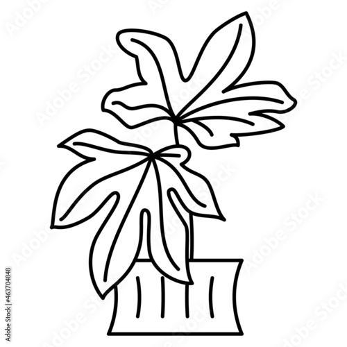 A fashionable indoor plant for a greenhouse, creating a microclimate in a room, office. Vector icon, outline, isolated, 48x48 pixel.