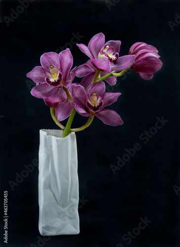  Pretty pink Cymbidium Orchid also known as Boat Orchid, in a Vase on black. Beautiful floral nature wall art image. photo