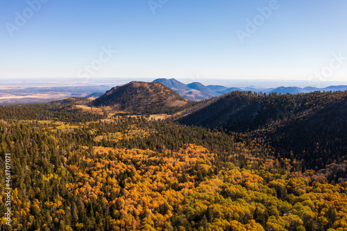 Fototapeta Naklejka Na Ścianę i Meble -  Autumn colored trees in Arizona with mountains in background 