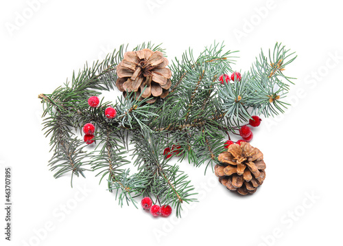 Fir branch, pine cones and berries on white background