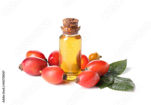 Canvastavla Bottle of essential oil and rose hip berries on white background