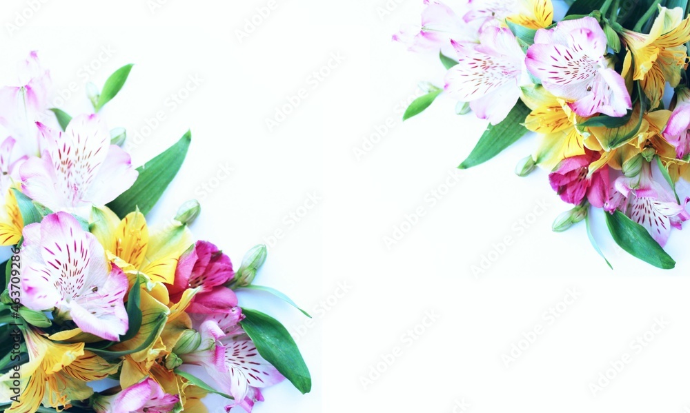 A bright festive bouquet with spring flowers in pastel colors. Delicate light shades. Background for a greeting card.