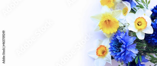 Spring bouquet with daffodils on a white background. Spring flower arrangement. Light pastel shades. Background for a greeting card.