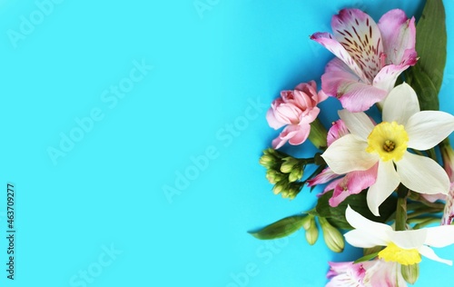 Spring bouquet with daffodils on a blue background. Spring flower arrangement. Light pastel shades. Background for a greeting card.