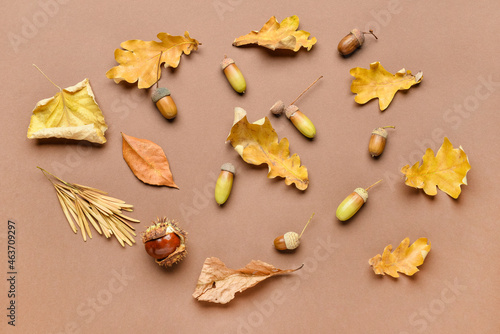 Many acorns and leaves on color background