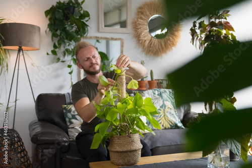 Man Repotting a plant at Home