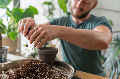 Man Repotting a plant at Home