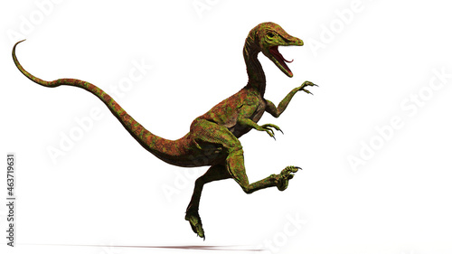 Compsognathus longipes, tiny dinosaur from the Late Jurassic period, isolated on white background © dottedyeti