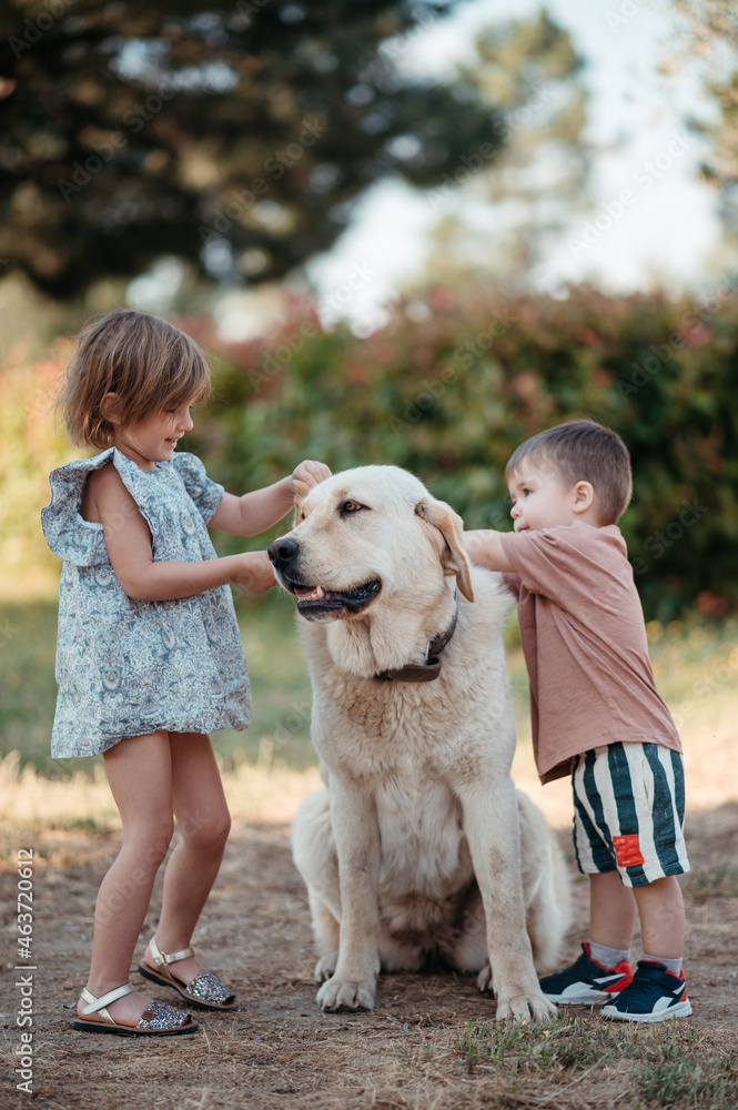 Kids patting dog. Kids patting dog.