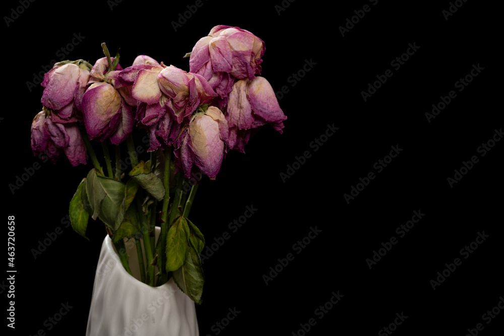 faded carnations on a black background