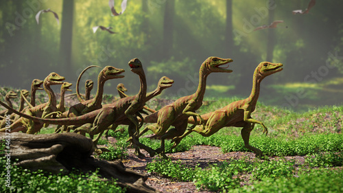 Compsognathus longipes in the forest, group of dinosaurs from the Late Jurassic period photo