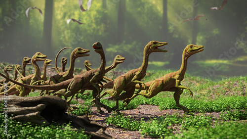 Foto Compsognathus longipes in the forest, group of dinosaurs from the Late Jurassic