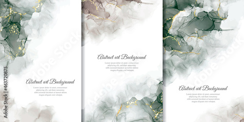 Set of Hand Painted Abstract Alcohol Ink Background