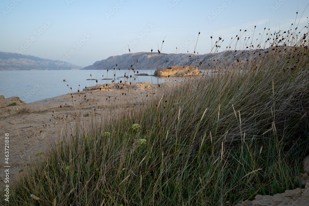 Beautiful coast with protruding rocks by the sea in Croatia