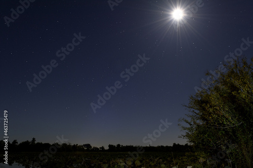 Lake Fork With Moon