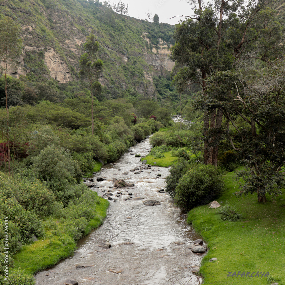 River of the city