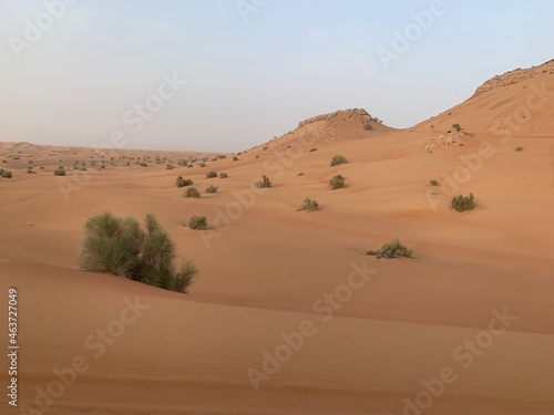 sand dunes in the desert