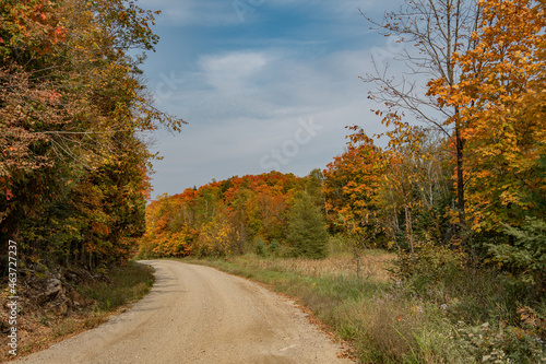 Autumn dirt road with a few wispy clouds