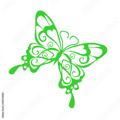 butterfly insect nature wings fly