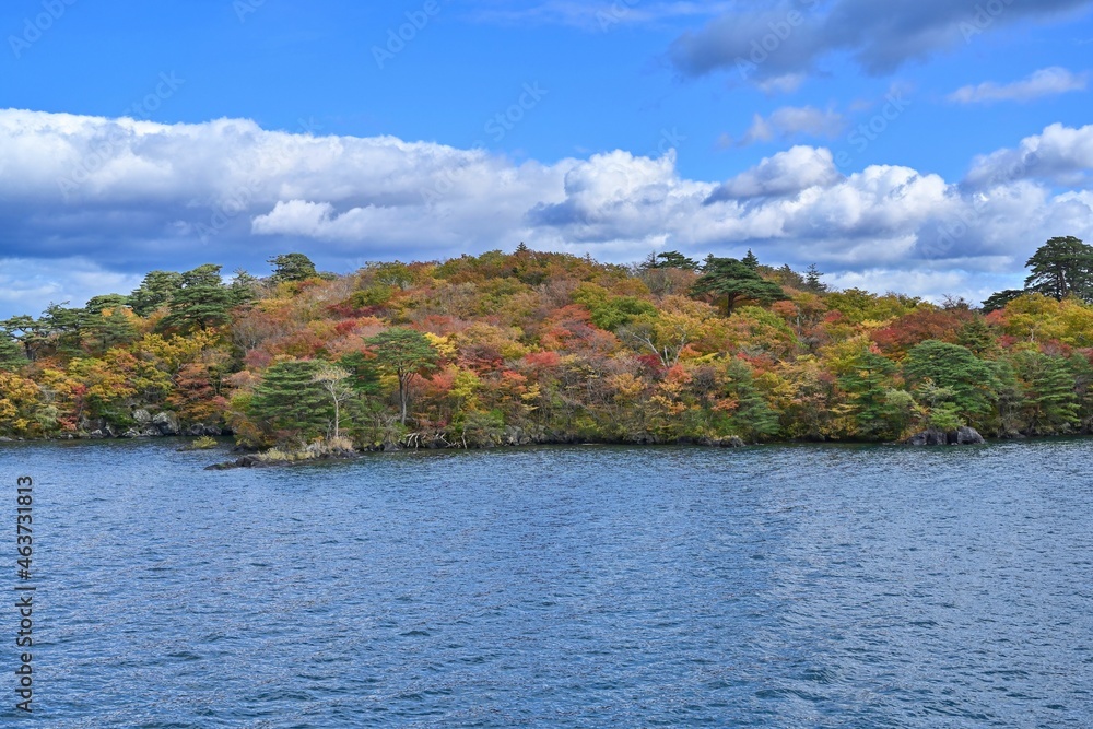 遊覧船から見た大きな松とカラフルな紅葉のコラボ情景＠青森