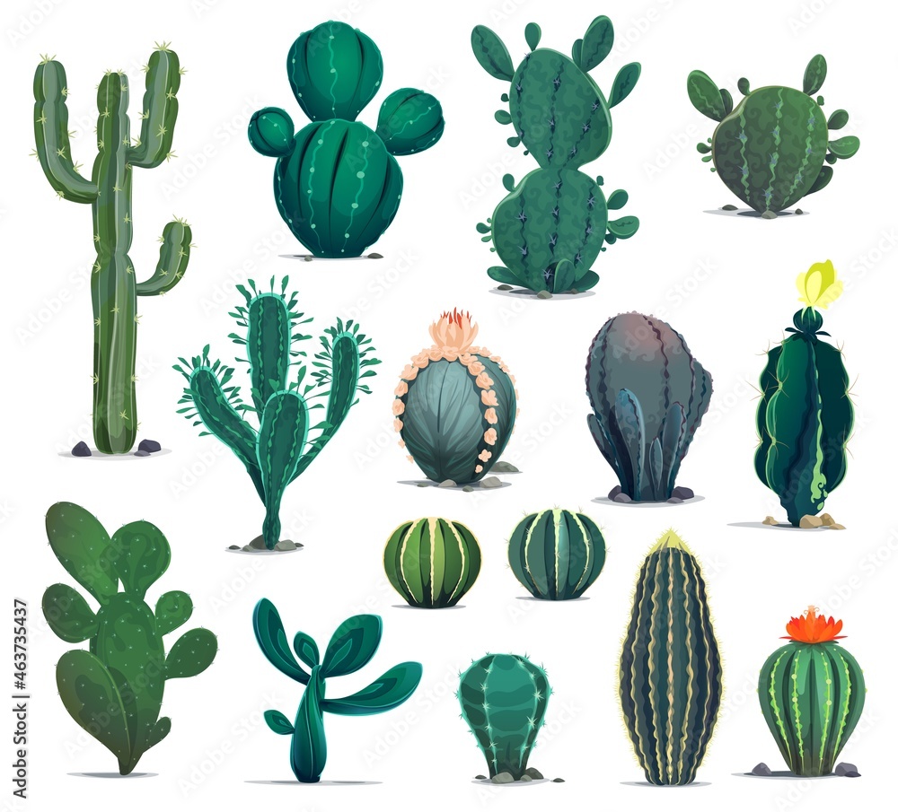 Mexican desert cactuses. Cartoon prickly succulent plants. Mexico desert flora, exotic cacti or flowering barrel, senita and saguaro cactuses. Western game environment succulent plants vector asset - obrazy, fototapety, plakaty 