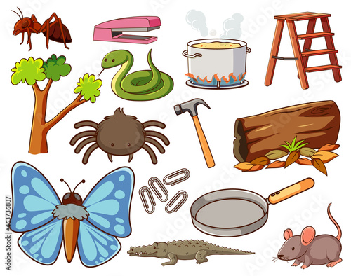 Set of various animals and objects