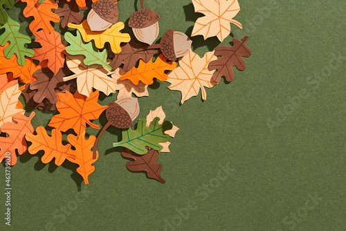 brown acorns on autumn leaves