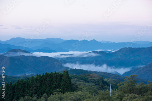 雲海