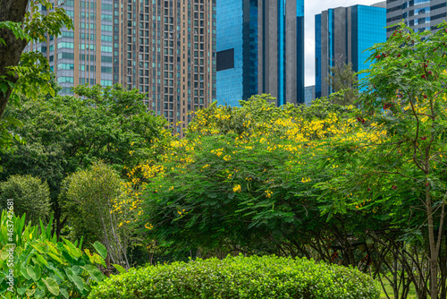 Beautiful many kinds of plants and trees in the park with background part of high business buildings in Bangkok city of Thailand