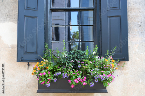 Classic Window Box With Dark Shuttered Window