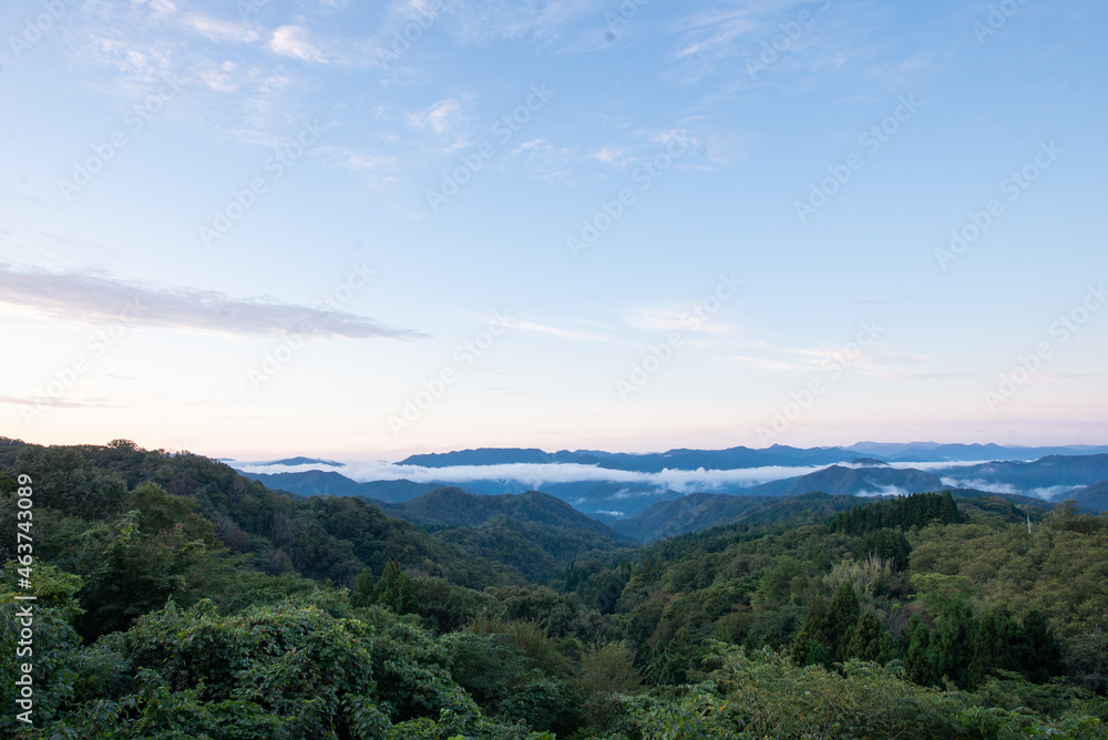 雲海 雲海