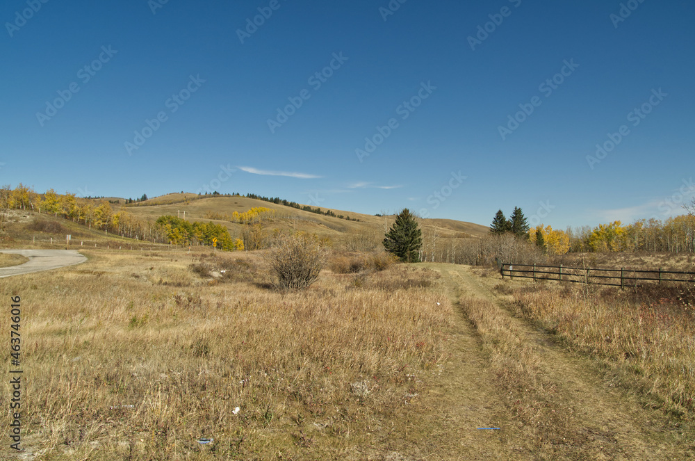 Countryside Hills in the Autumn