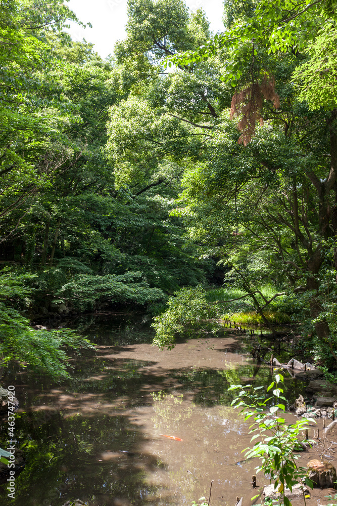 Obraz premium 駒場野公園（東京都目黒区）