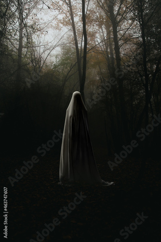 Ghost in the middle of the forest photo