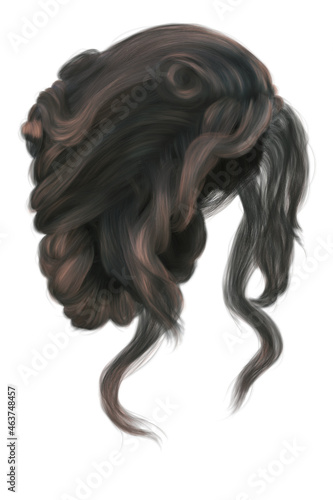 Fotografie Fantasy medieval updo hair on isolated white background, 3d render, 3d illustrat