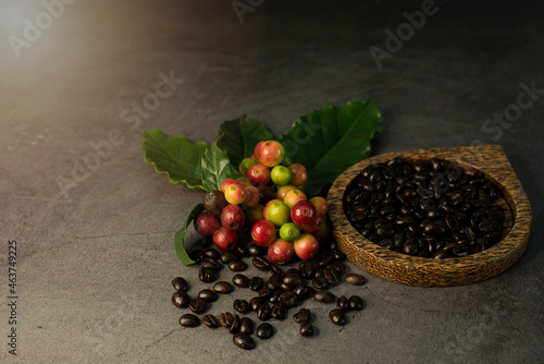 coffee beans and red ripe coffee Isolated on dark background.