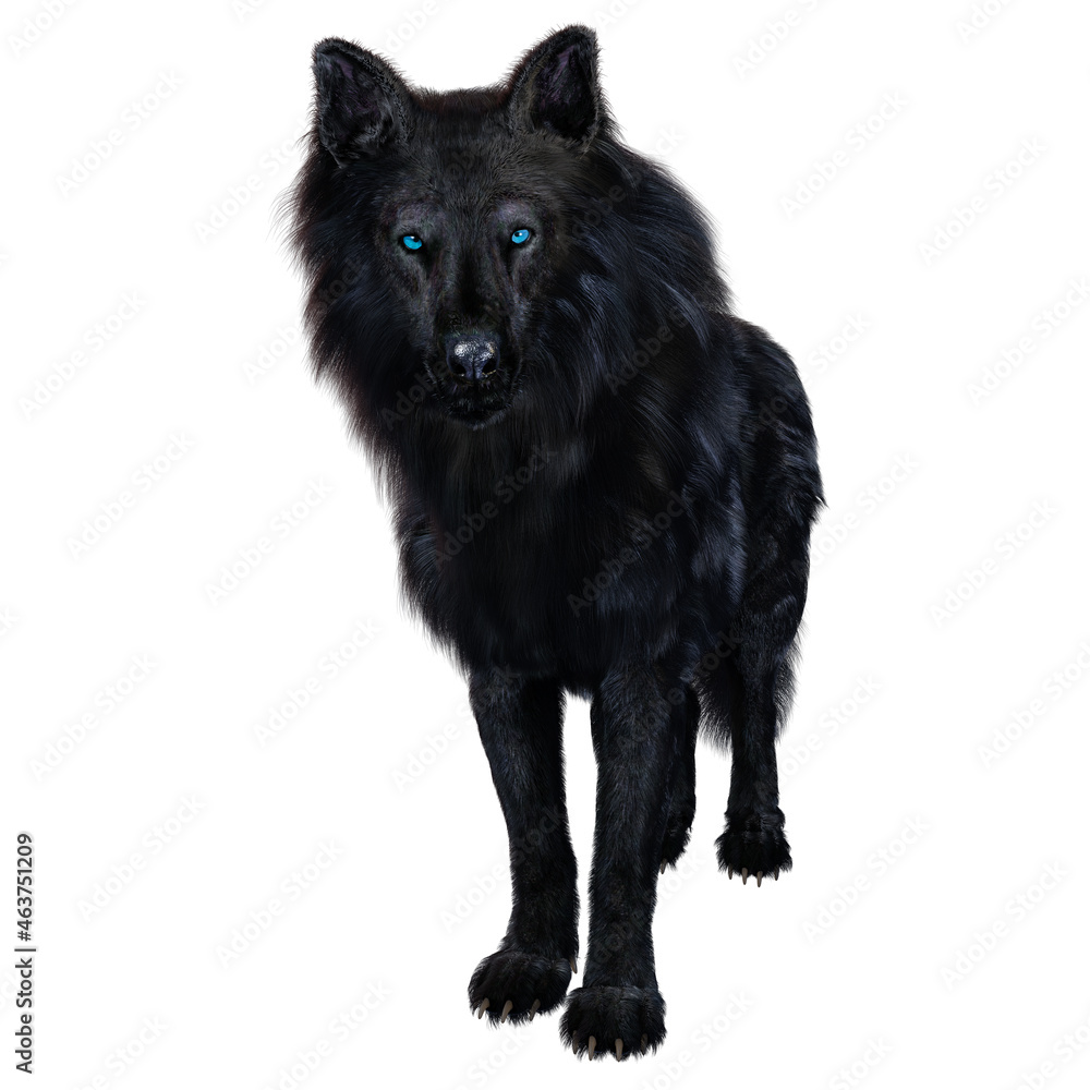 Dire wolf on isolated background, 3D illustration, 3D rendering Dire wolf on isolated background, 3D illustration, 3D rendering