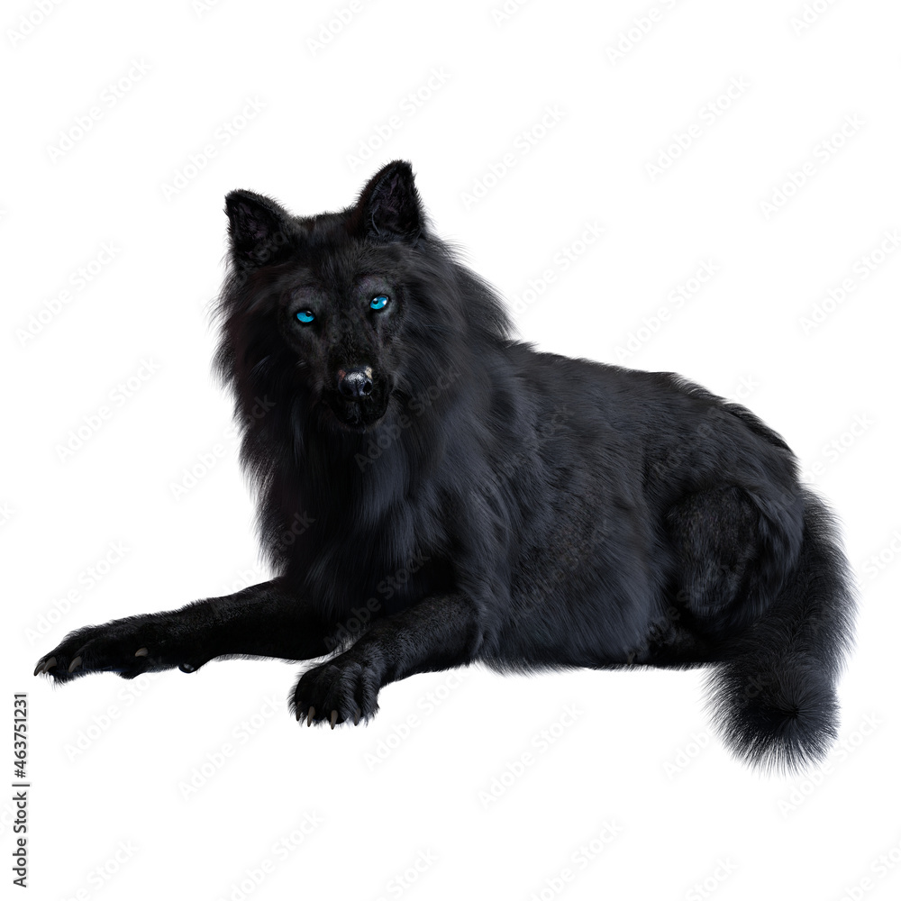 Dire wolf on isolated background, 3D illustration, 3D rendering Dire wolf on isolated background, 3D illustration, 3D rendering