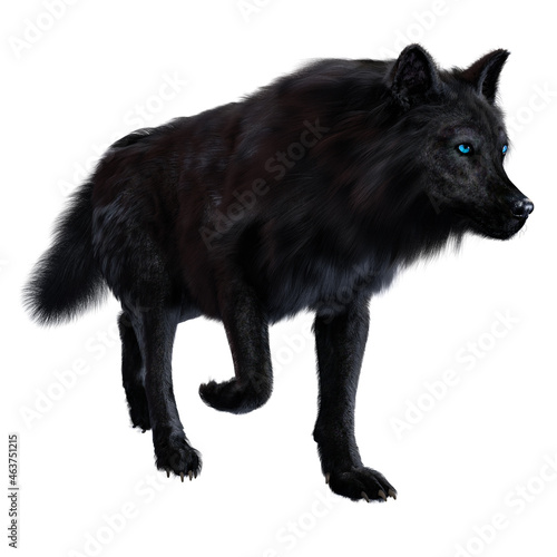 Dire wolf on isolated background, 3D illustration, 3D rendering © Seeker Stock Art