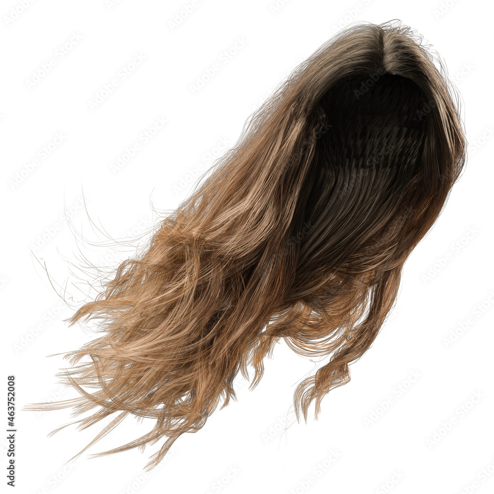 3d render, 3d illustration, fantasy long wavy hair on isolated white background 3d render, 3d illustration, fantasy long wavy hair on isolated white background