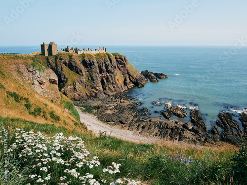 Wild flowers by Dunnottar Castle photo