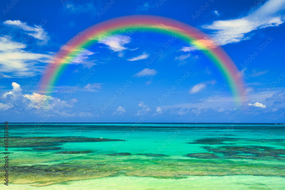 沖縄の美しいサンゴ礁の海