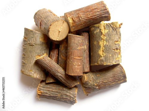 white background dry dried a mountain ash, a rowan tree