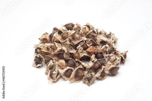 white background dry dried moringa fruit 