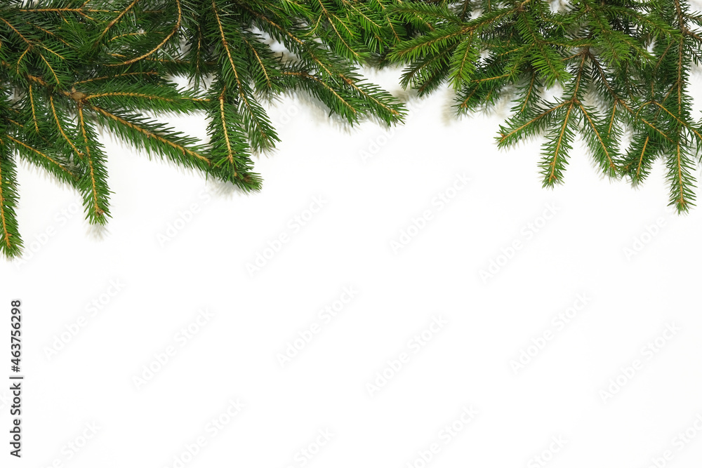 Obraz premium Fir tree border on white background.