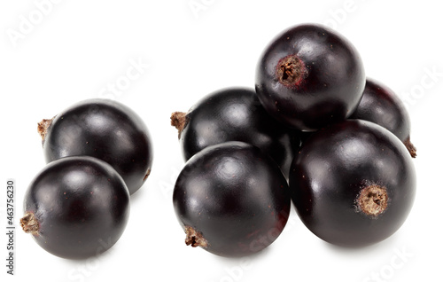 black currant isolated on white background. macro. clipping path