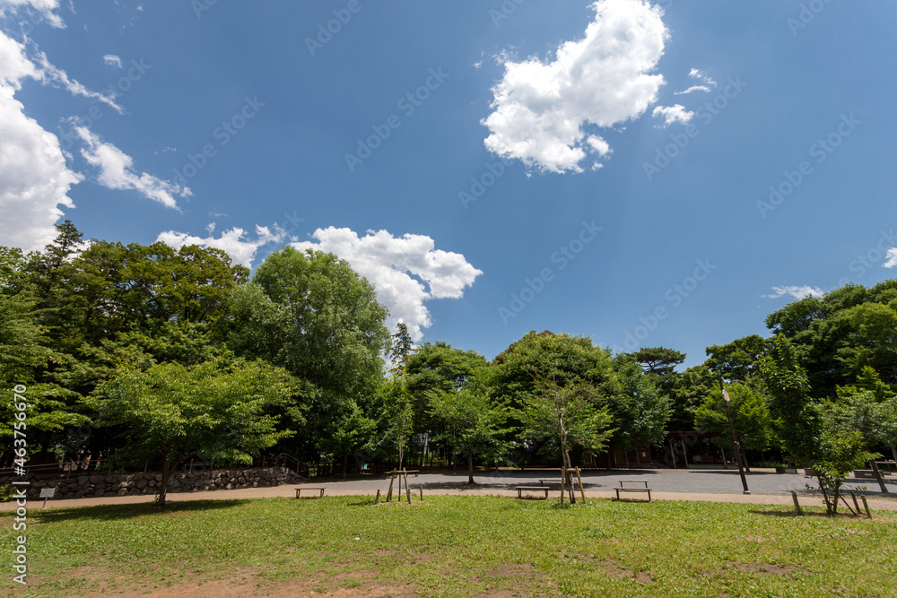 三宿の森緑地(東京都世田谷区三宿) 三宿の森緑地(東京都世田谷区三宿)